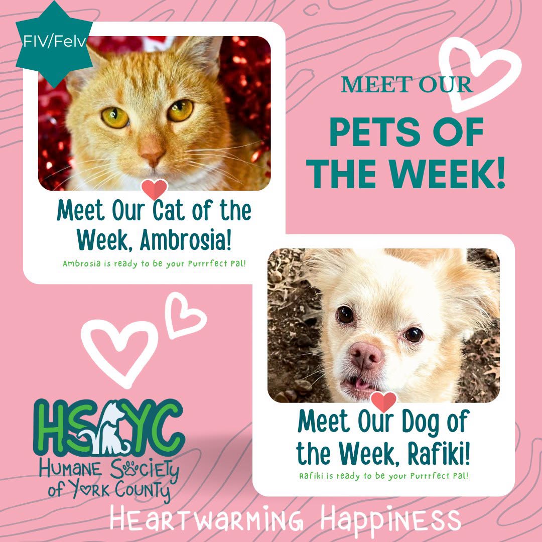 Humane Society of York County